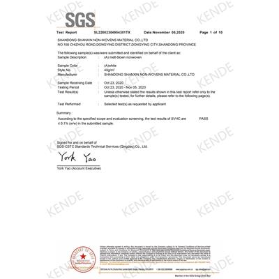 SUBSTANCES IN THE CANDIDATE LIST OF SVHC -SGS TEST REPORT